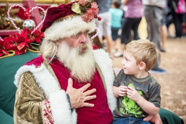 The Texas Renaissance Festival hosts its Celtic Christmas weekend on Nov. 29-Dec. 1. 