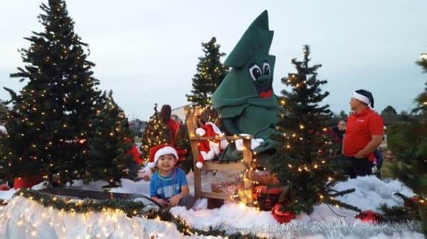The Greater Magnolia Parkway Chamber of Commerce presents its parade of lights Dec. 7. 