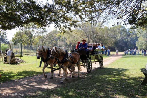 (Courtesy Armand Bayou Nature Center)