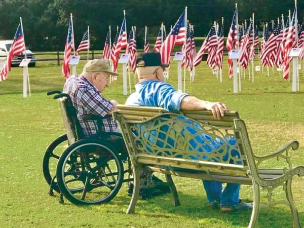 Celebrate Veterans Day at these events in Georgetown