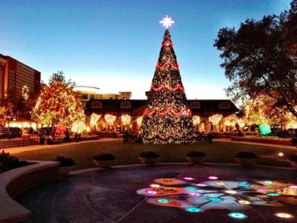 Nov. 21 Light up a tree at Market Street
Courtesy Market Street