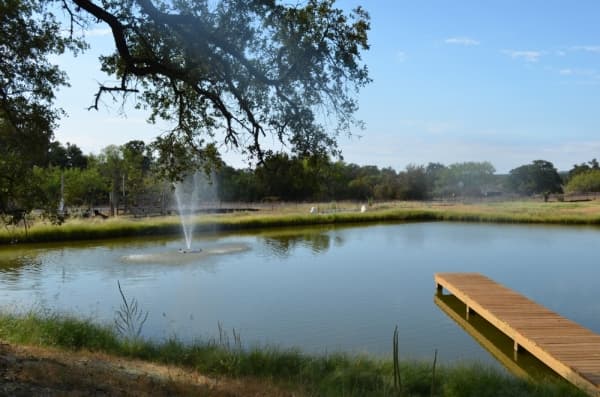 Guests are invited to fish at the private catch-and-release pond on the property. 
(Amy Rae Dadamo/Community Impact Newspaper)