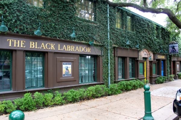 Longtime Montrose pub The Black Labrador closing in December