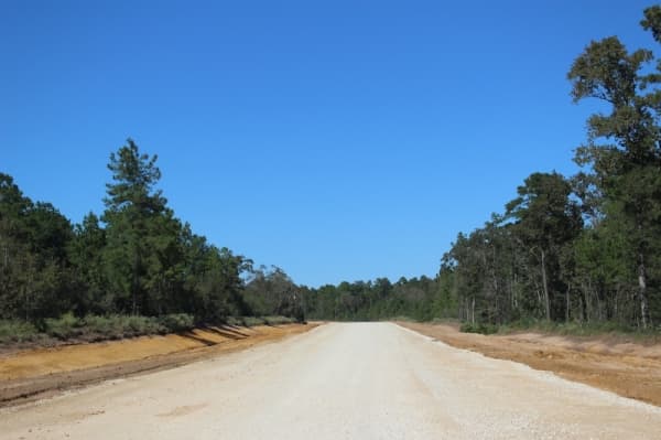 Grand Pines Drive construction is scheduled to be complete in April 2020, according to Montgomery County Precinct 2 Commissioner Charlie Riley. (Kara McIntyre/Community Impact Newspaper)