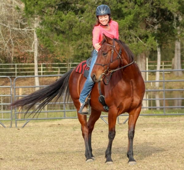 Courtesy Henry's Home Horse Sanctuary