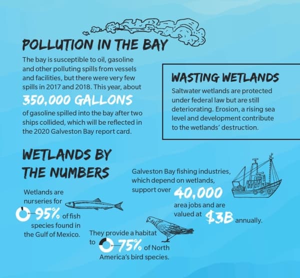 Galveston Bay receives “C” on report card