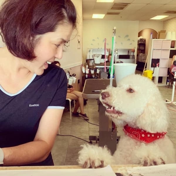 Lakeside Pet Groomers relocates and offers new services in Plano