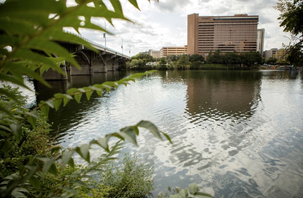Toxic algae blooms are becoming more common, scientists say