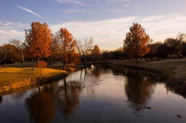 Tree-planting event to take place Nov. 19 at Cottonwood Park in Richardson