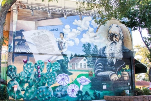 
“Lindheimer—Father of Texas Botany”
Location: 129 S. Seguin Ave. 
Subject: This mural depicts the father of Texas botany, Ferdinand Lindheimer. During his career, Lindheimer studied and cataloged plants and animals in Central Texas, over 50 of which still bear his name, including the Texas yellowstar flower. Lindheimer also helped found New Braunfels’ first German newspaper, the Zeitung, along with Hermann Seele, and housed the paper’s printing press in his home. 
Artist: Alex Brochon 
Dedication date: May 21, 2001 (to celebrate Lindheimer’s 200th birthday) 
Price: $34,000 
