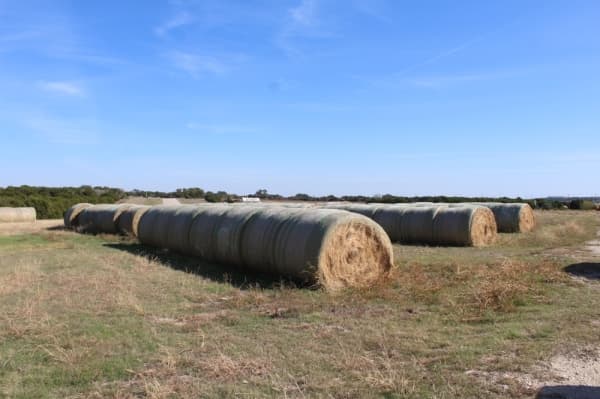 Talley bales hay on the property. (Marisa Charpentier/Community Impact Newspaper)