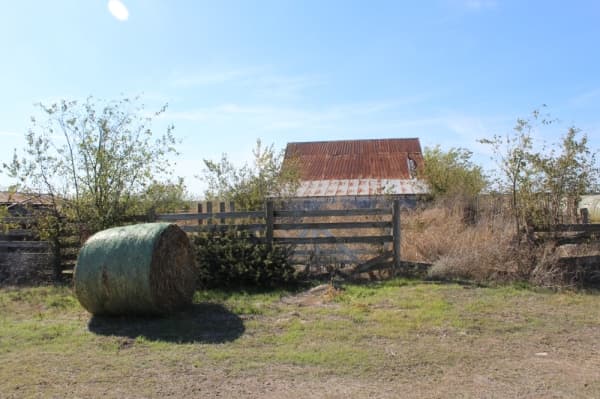 The farmstead contains several barns. (Marisa Charpentier/Community Impact Newspaper)