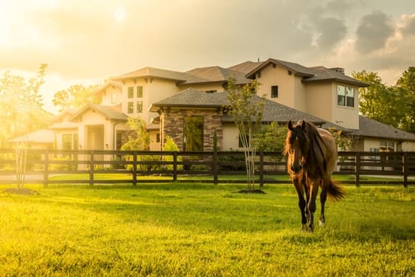 Tomball's Willowcreek Ranch named 2019 Community of the Year