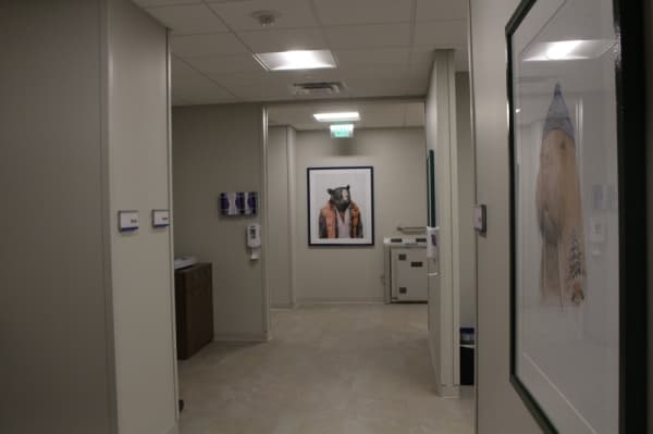 The medical center includes a pediatric wing with animal art. (Elizabeth Ucles/Community Impact Newspaper)
