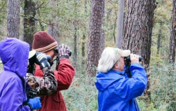 Things to do in Conroe, Montgomery this November, December