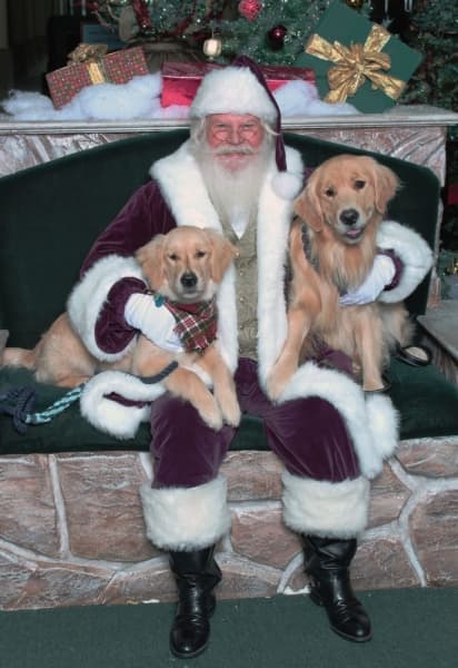 2019 Holiday Events Guide for Cedar Park and Leander