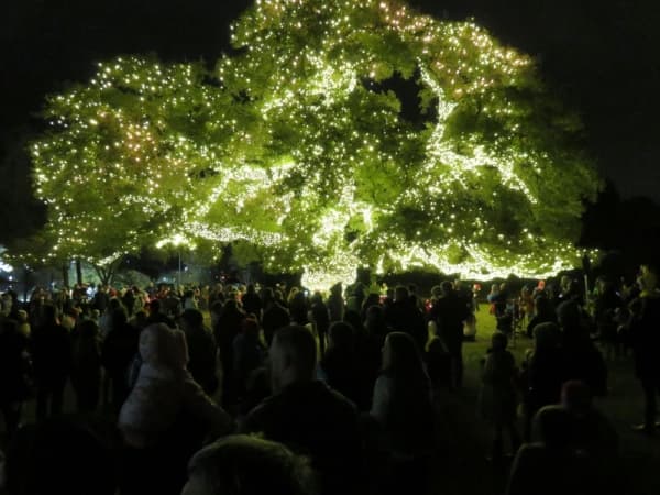 (Tree Lighting and Santa’s Workshop) Courtesy city of Cedar Park