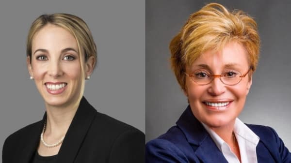 Houston Runoff Voter Guide 2019: City Council District C candidate Q&A's