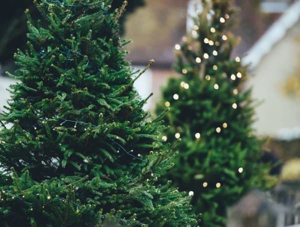 Pflugerville's Pfarmer's Market will take on a "pfestive" theme in December. (Courtesy city of Pflugerville)

