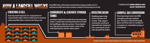 (Graphic by Chase Autin/Community Impact Newspaper)