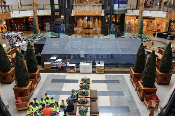 Willow Bend mall owner seeks new zoning change, offering few details