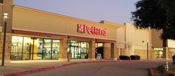 Frisco considers updated animal ordinance following Petland concerns