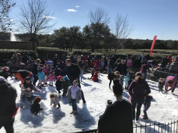Do tai chi, yoga, or make a cheese board: Things to do in Georgetown this December and January