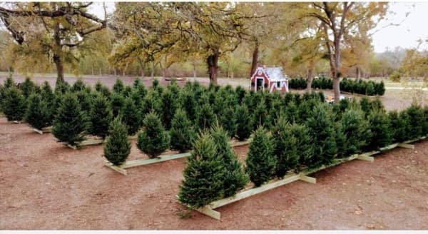 Photos can be taken with Santa Dec. 14-15 at Sweet Eats Fruit Farm. (Courtesy Sweet Eats Fruit Farm)