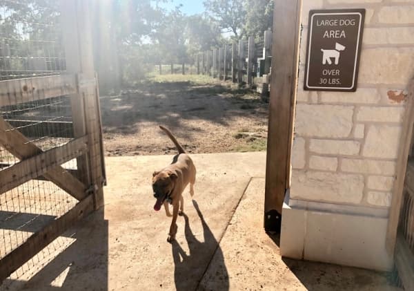 Garey Park includes a large and small dog park area. (Sally Grace Holtgrieve/Community Impact Newspaper)