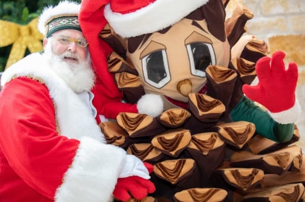 To-Do List: Events and things to do in The Woodlands area in December and January