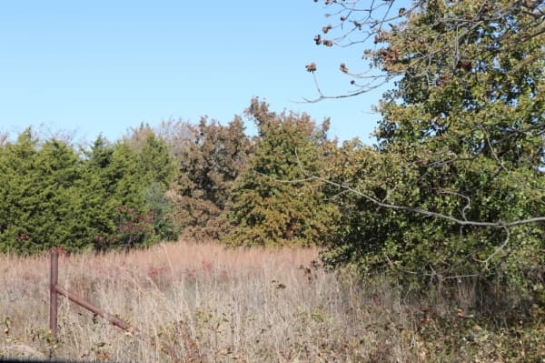 Southlake purchases land to add to parks space