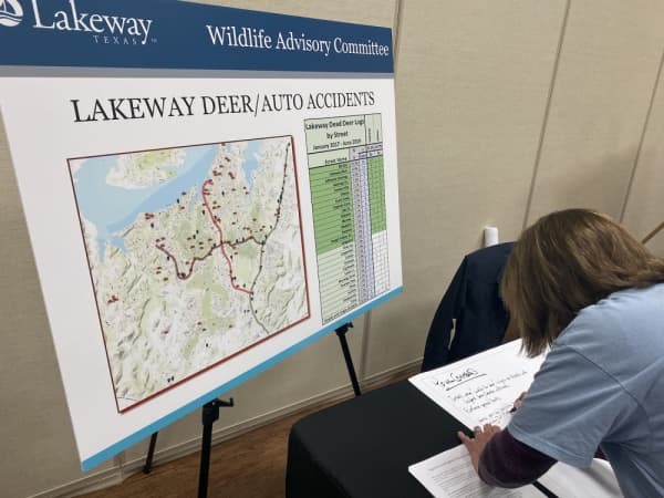 Lakeway City Council to discuss deer transfer program during Dec. 16 meeting