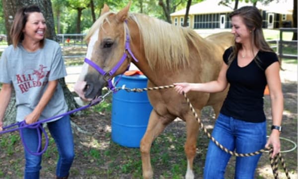 Things to do in Conroe, Montgomery Dec. 19-Jan. 13