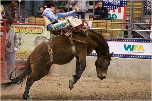 Go to the Humble Rodeo, enjoy a night at the ballet: 6 things to-do list in the Lake Houston area in January, February