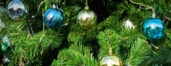 See Christmas lights, drink hot cocoa and more: 7 things to do in Tomball, Magnolia this winter break, Dec. 20-Jan. 1