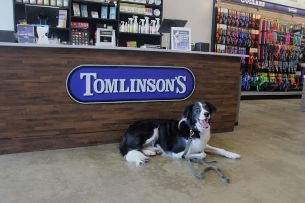 Tomlinson’s Feed hosting annual Pound4Pound pet food drive