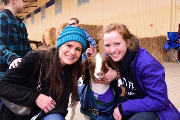 The Fort Worth Stock Show & Rodeo will be held Jan. 14-Feb. 8. (Courtesy Fort Worth Stock Show & Rodeo)