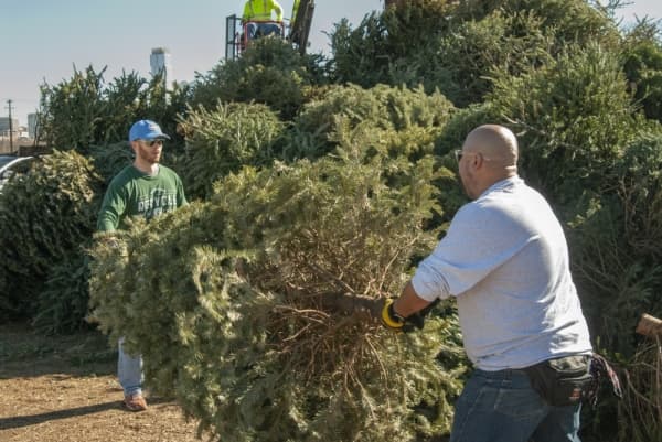 Here's how Austin residents can recycle their Christmas trees