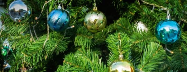 Where Pearland and Friendswood residents can recycle their Christmas trees