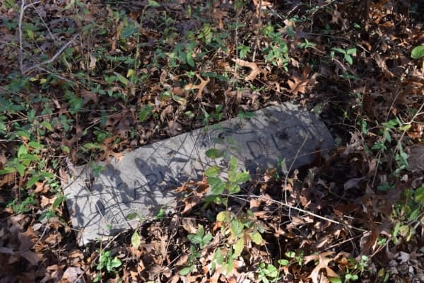 Many headstones have been covered by brush after years without maintenance. (Emily Davis/Community Impact Newspaper) 