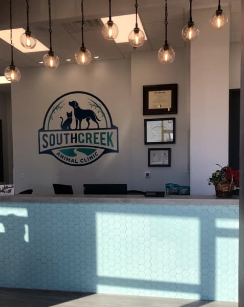 South Creek Animal Clinic now open on Gosling Road