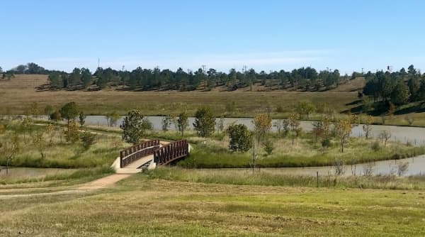 Birding, book signing and chamber music: Events around Bellaire, Meyerland and West University in January 2020