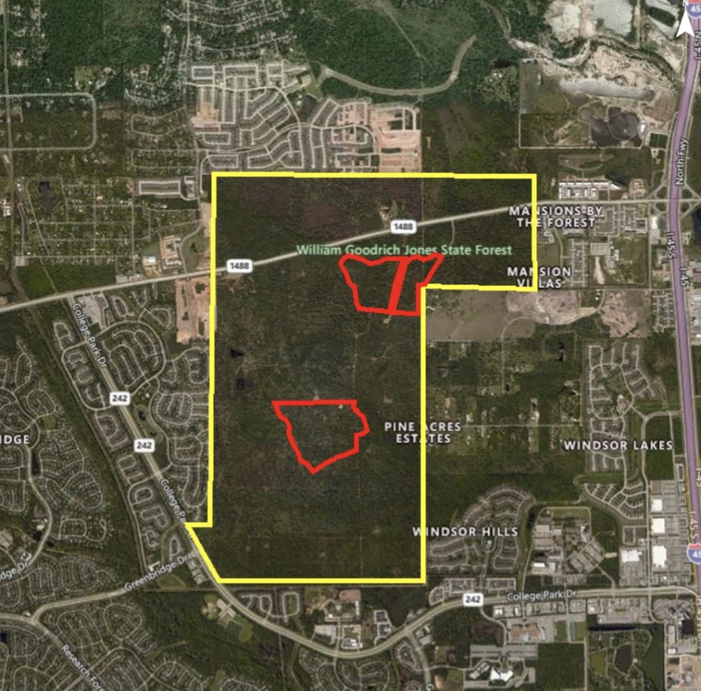 Preliminary plans (in red) detail the Texas A&M Forest Service conducting prescribed burning operations at W. Goodrich Jones State Forest. Areas in red are delineated into smaller prescribed burn units of approximately 20 to 35 acres. (Map Courtesy Texas A&M Forest Service)