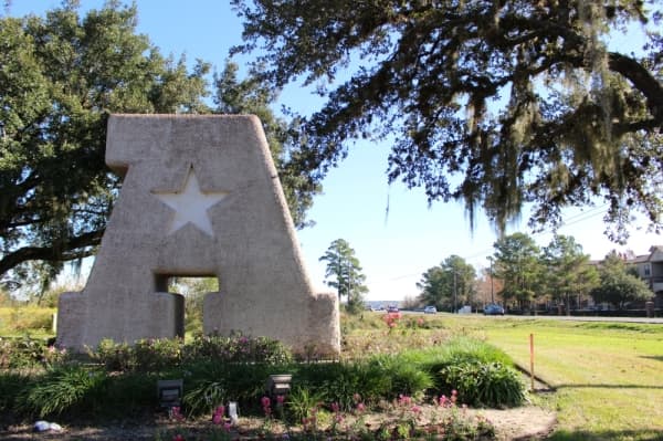 DATA: Getting to know Atascocita