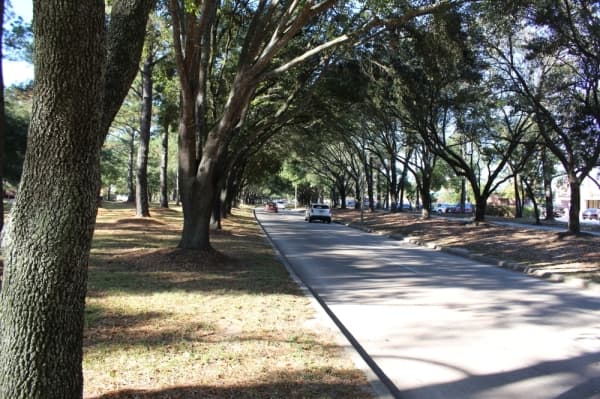 DATA: Getting to know Kingwood