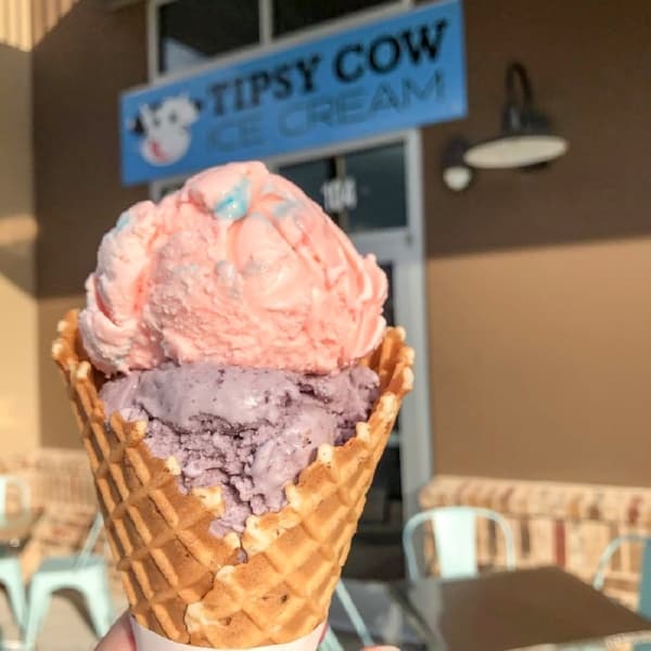 Tipsy Cow (Courtesy Tipsy Cow)