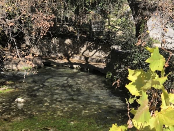Big Spring at Landa Park: It was a popular attraction at Landa Park into the late 1920s and ran dry from drought in 1954 until heavy rains in the winter of 1957. Harry Landa first opened Landa Park and the spring to the public in the spring of 1898. (Ian Pribanic/Community Impact Newspaper)