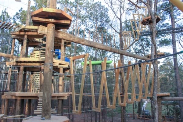 Texas TreeVentures
Andrew Christman/Community Impact Newspaper