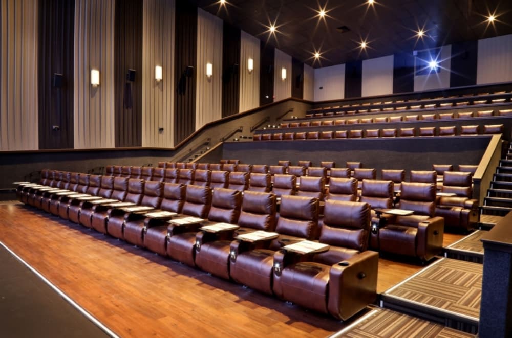 4 south Montgomery County movie theaters that opened in 2019 or are coming soon