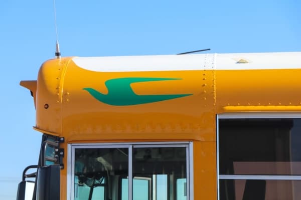 Georgetown ISD will replace nearly a quarter of its fleet with clean-energy propane buses by the end of January. (Courtesy Georgetown ISD)